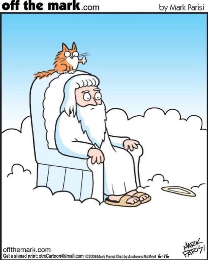 This Artist Sums Up Life With A Cat In His 37 New Funny Cartoons