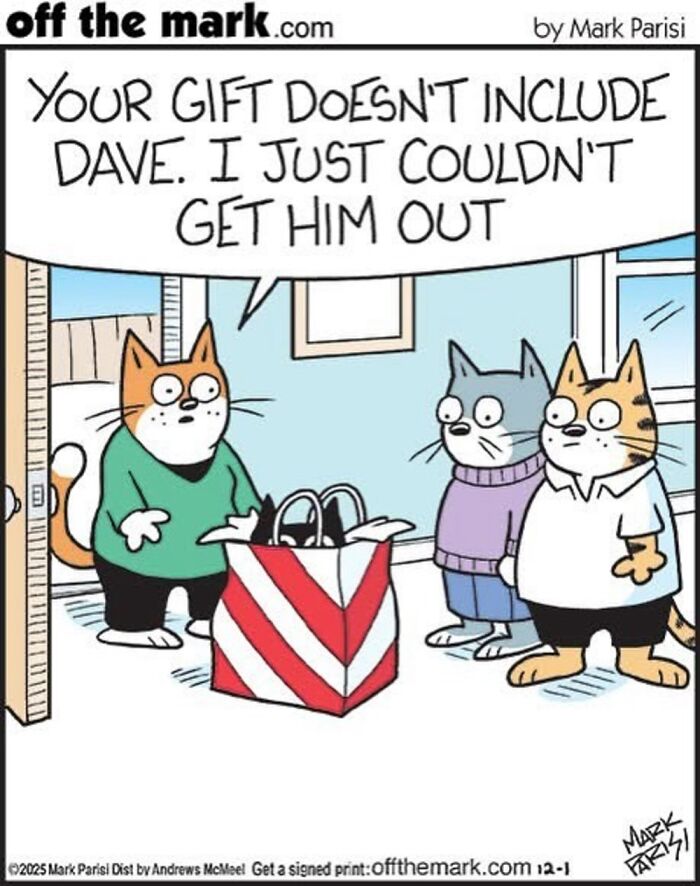 This Artist Sums Up Life With A Cat In His 37 New Funny Cartoons