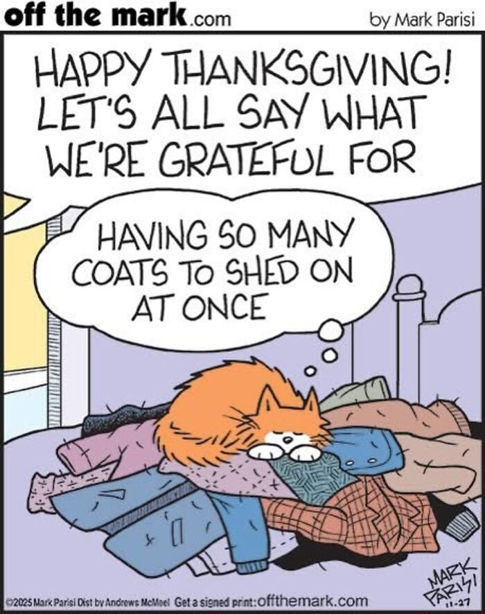 This Artist Sums Up Life With A Cat In His 37 New Funny Cartoons