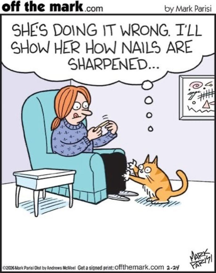 This Artist Sums Up Life With A Cat In His 37 New Funny Cartoons