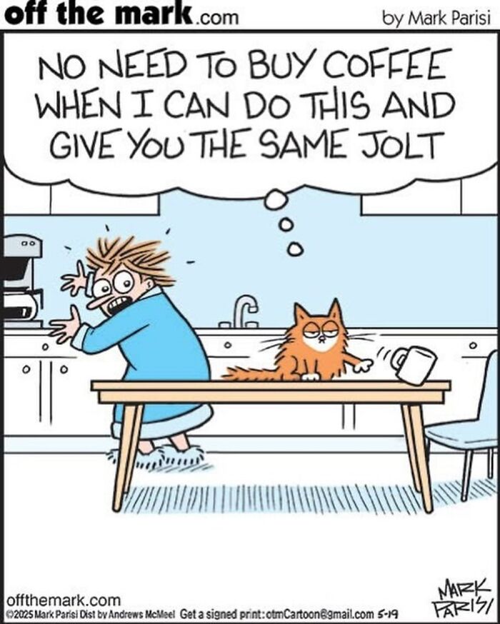 This Artist Sums Up Life With A Cat In His 37 New Funny Cartoons