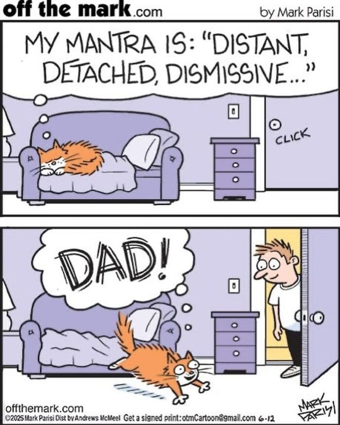 This Artist Sums Up Life With A Cat In His 37 New Funny Cartoons