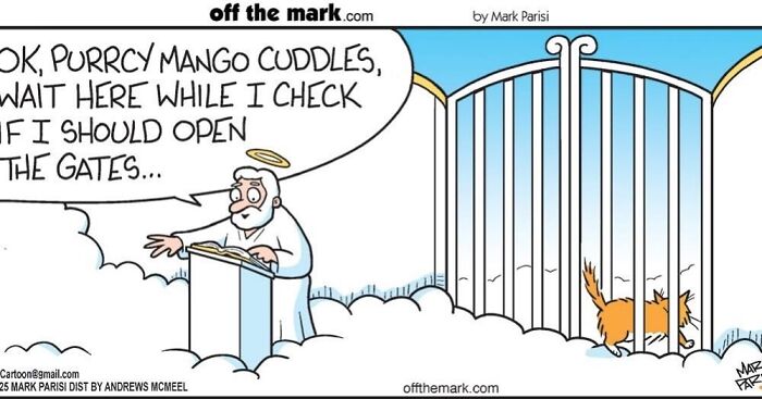 This Artist Sums Up Life With A Cat In His 37 New Funny Cartoons