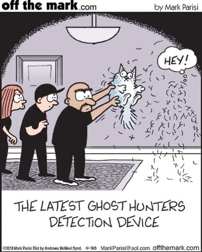 This Artist Sums Up Life With A Cat In His 37 New Funny Cartoons