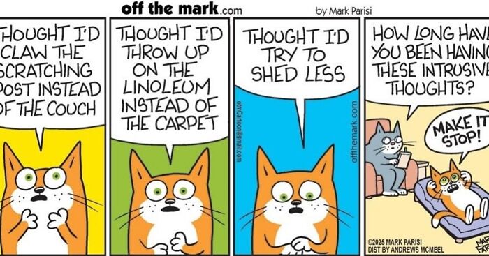 This Artist Sums Up Life With A Cat In His 37 New Funny Cartoons
