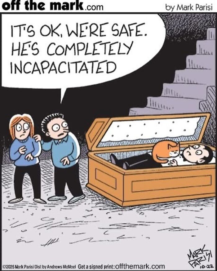 This Artist Sums Up Life With A Cat In His 37 New Funny Cartoons