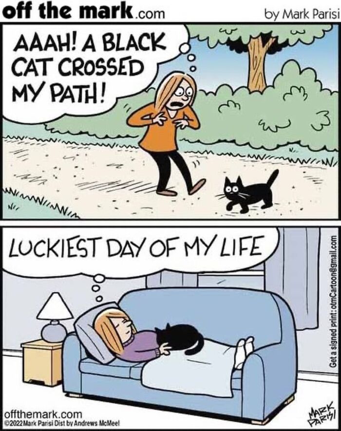 This Artist Sums Up Life With A Cat In His 37 New Funny Cartoons
