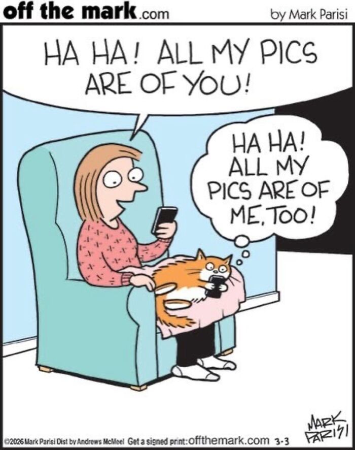 This Artist Sums Up Life With A Cat In His 37 New Funny Cartoons