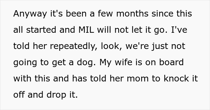 Guy Breaks Wife’s Family Tradition Of Adopting Dogs, Nearly Gets Called A Weirdo For Getting A Cat