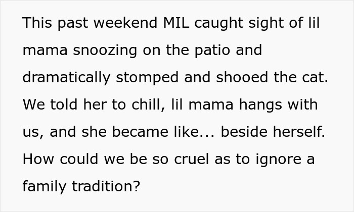 Guy Breaks Wife’s Family Tradition Of Adopting Dogs, Nearly Gets Called A Weirdo For Getting A Cat