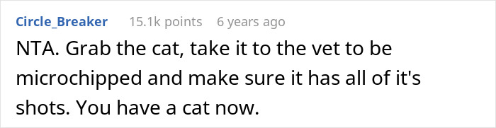 Guy Breaks Wife’s Family Tradition Of Adopting Dogs, Nearly Gets Called A Weirdo For Getting A Cat