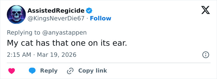 Anya Taylor‑Joy&rsquo;s Latest Interview Appearance Sparks Heated Debate After Fans Spot Odd Detail