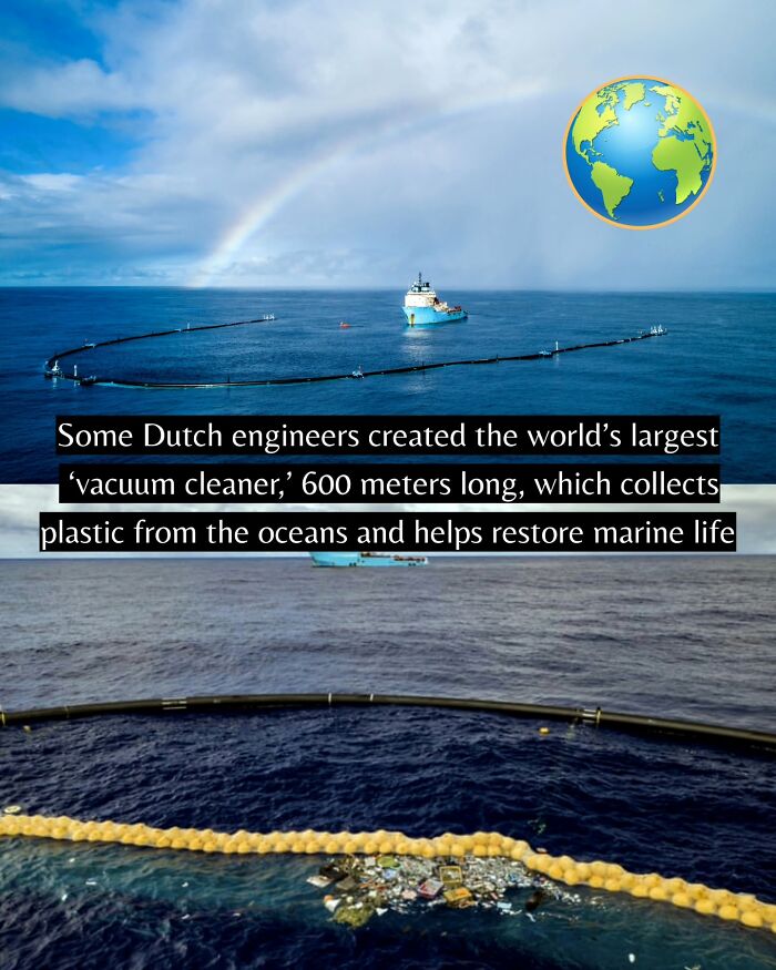 55 Pieces Of Good News For Everyone Who Is Sick And Tired Of Negative Headlines (New Pics)