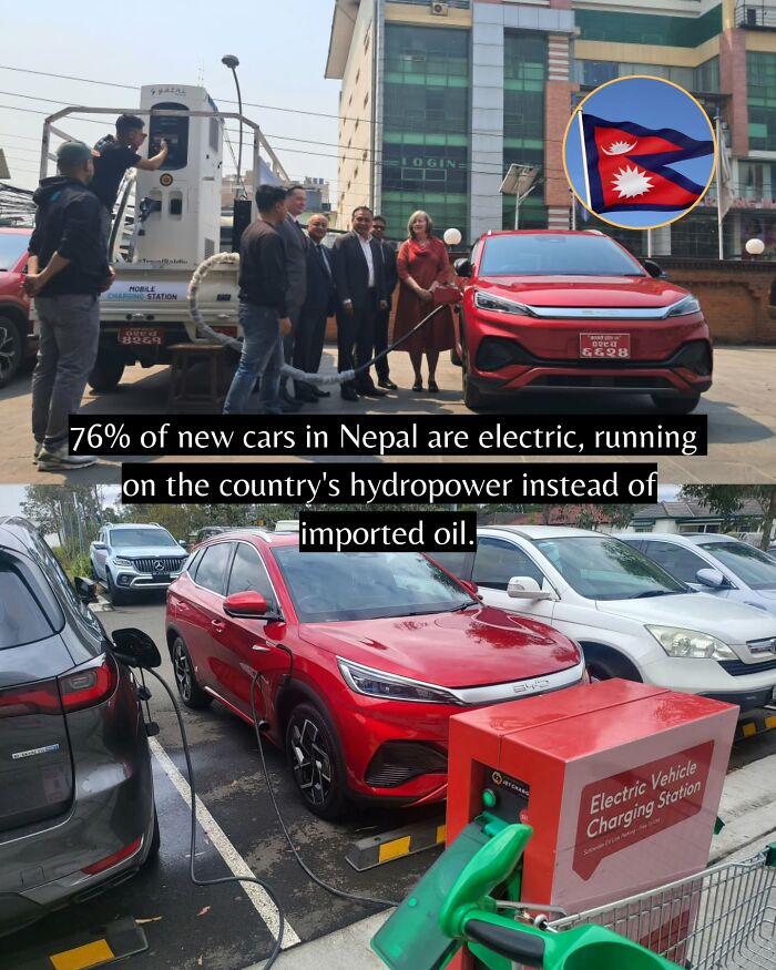 55 Pieces Of Good News For Everyone Who Is Sick And Tired Of Negative Headlines (New Pics)