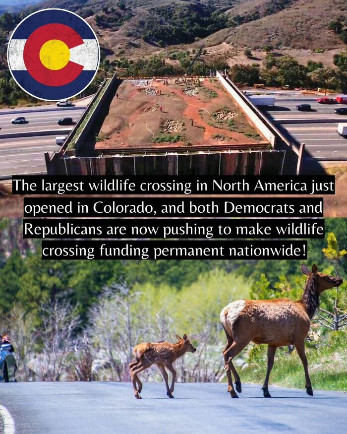 55 Pieces Of Good News For Everyone Who Is Sick And Tired Of Negative Headlines (New Pics)