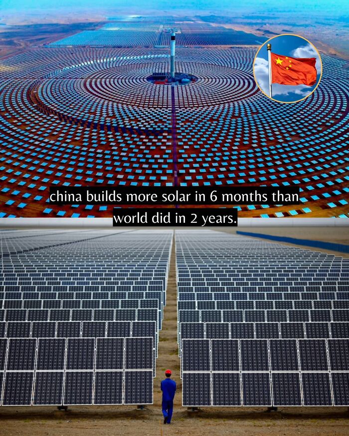 55 Pieces Of Good News For Everyone Who Is Sick And Tired Of Negative Headlines (New Pics)