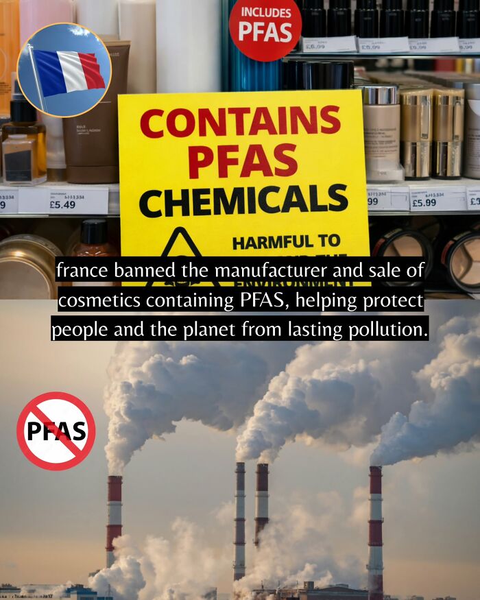 55 Pieces Of Good News For Everyone Who Is Sick And Tired Of Negative Headlines (New Pics)