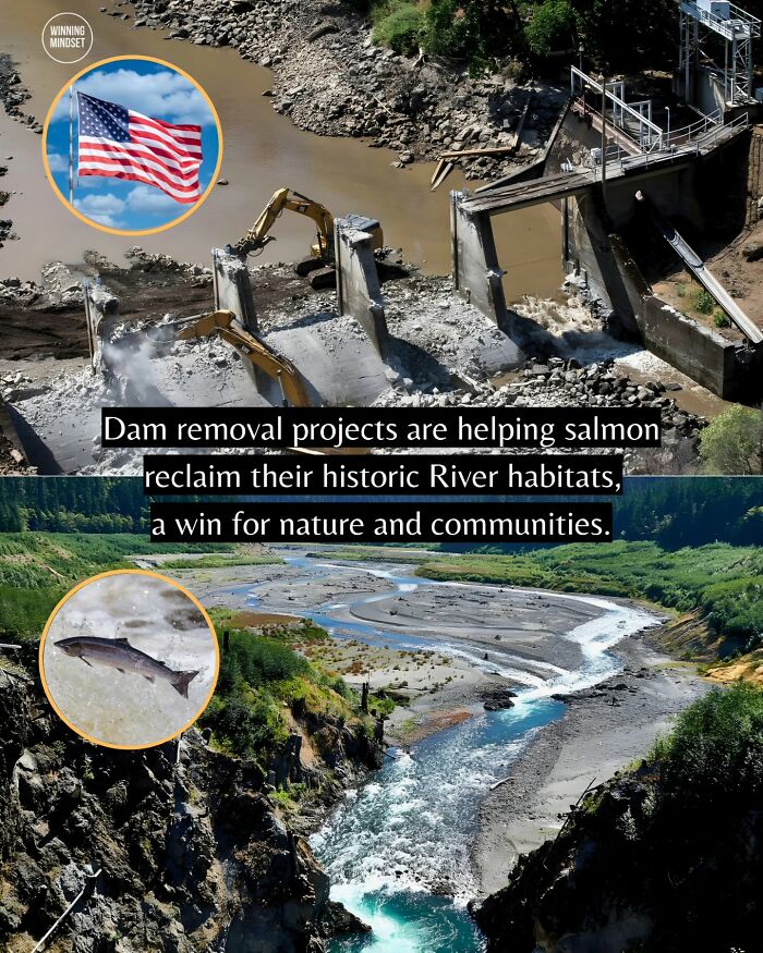 55 Pieces Of Good News For Everyone Who Is Sick And Tired Of Negative Headlines (New Pics)