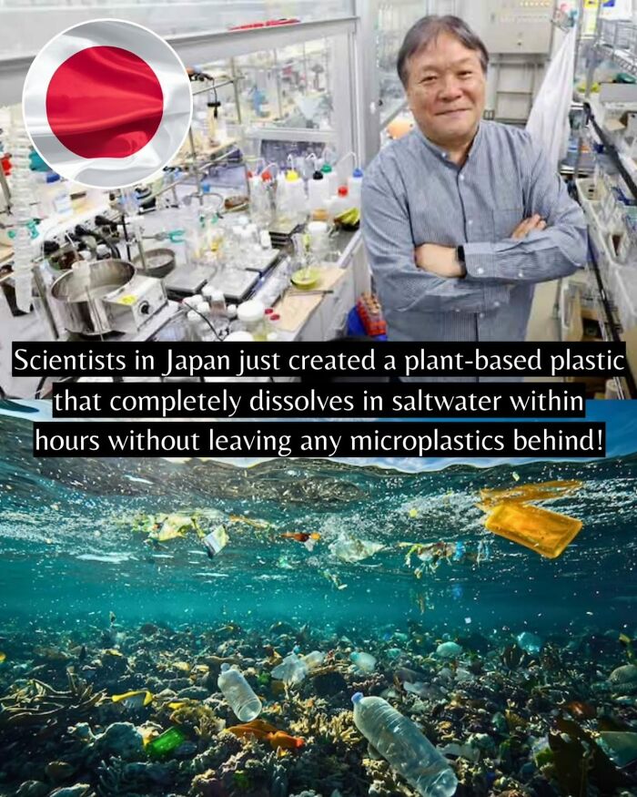 55 Pieces Of Good News For Everyone Who Is Sick And Tired Of Negative Headlines (New Pics)