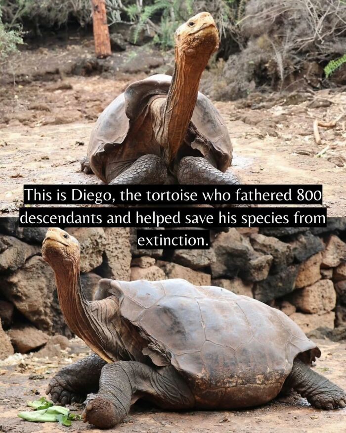 55 Pieces Of Good News For Everyone Who Is Sick And Tired Of Negative Headlines (New Pics)