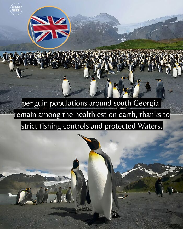 55 Pieces Of Good News For Everyone Who Is Sick And Tired Of Negative Headlines (New Pics)