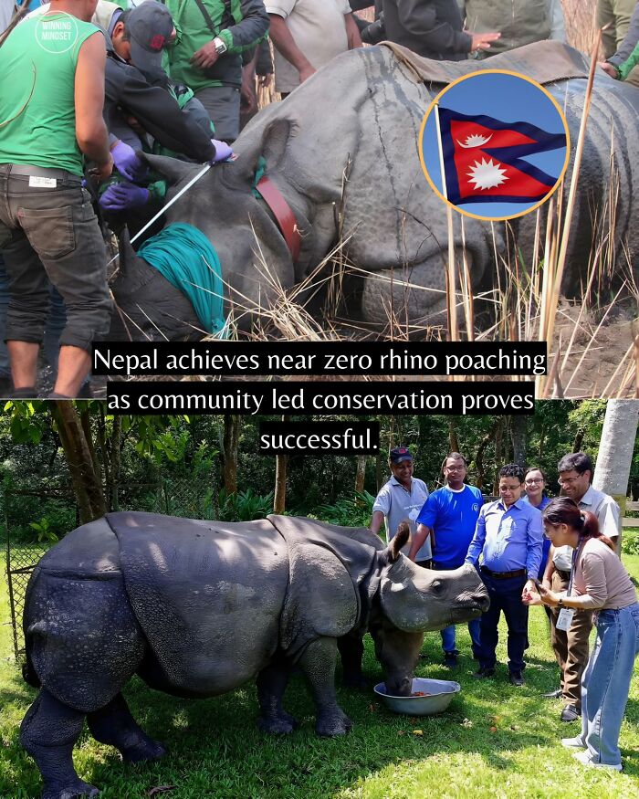 55 Pieces Of Good News For Everyone Who Is Sick And Tired Of Negative Headlines (New Pics)