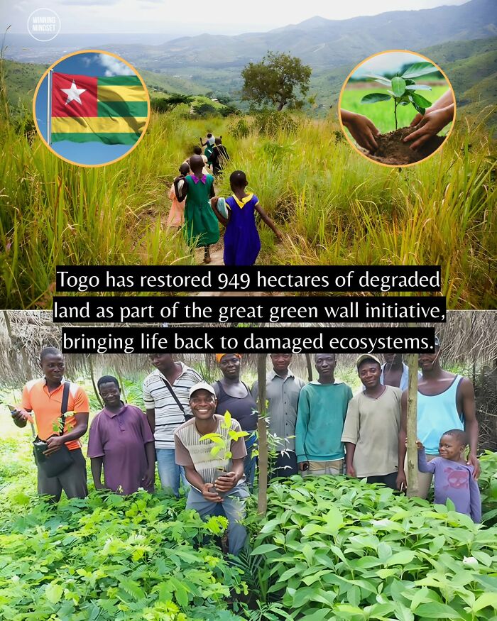 55 Pieces Of Good News For Everyone Who Is Sick And Tired Of Negative Headlines (New Pics)