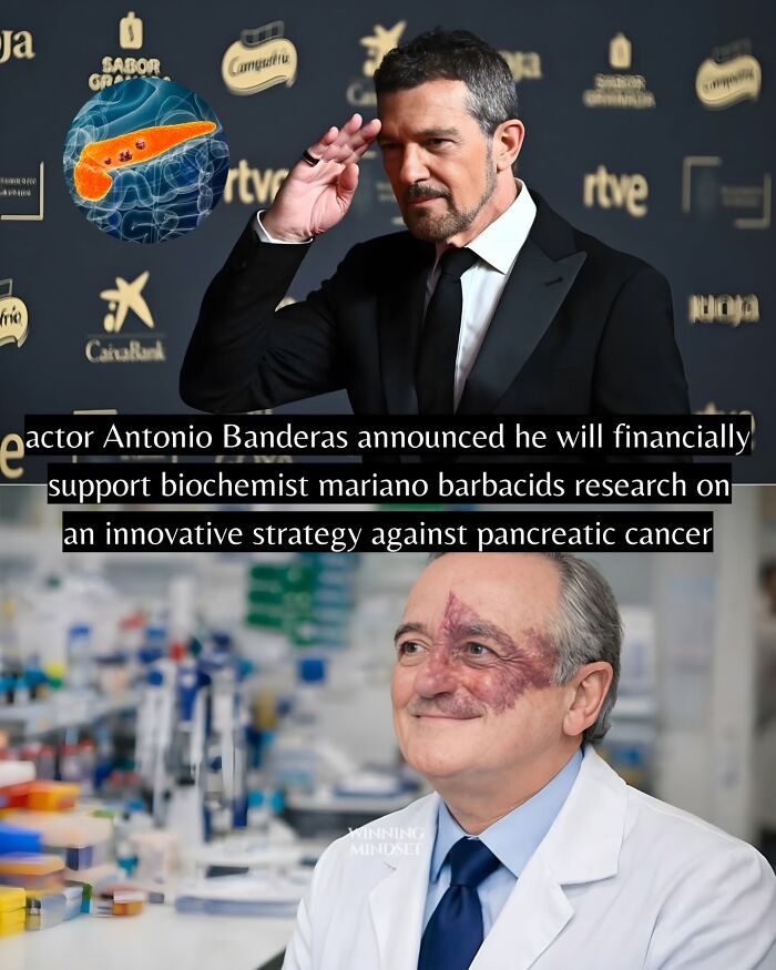 55 Pieces Of Good News For Everyone Who Is Sick And Tired Of Negative Headlines (New Pics)