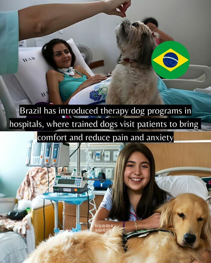 55 Pieces Of Good News For Everyone Who Is Sick And Tired Of Negative Headlines (New Pics)