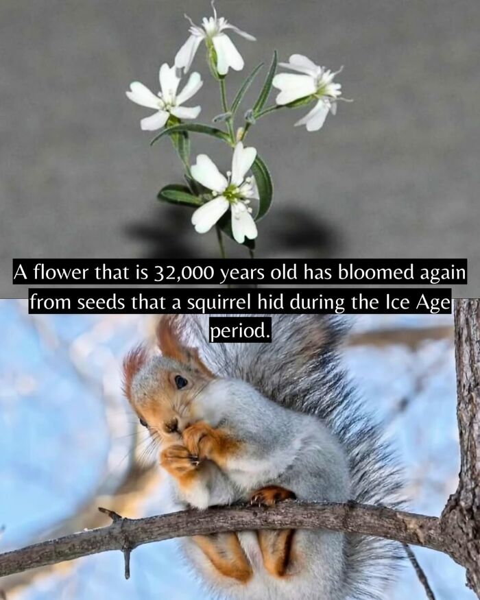 55 Pieces Of Good News For Everyone Who Is Sick And Tired Of Negative Headlines (New Pics)