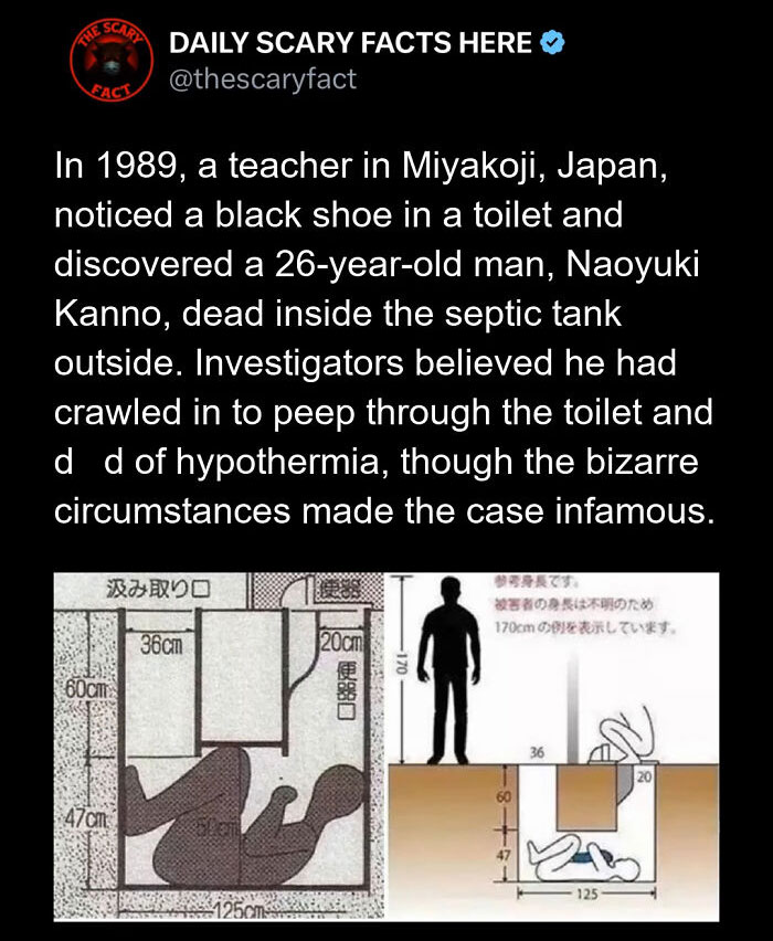 “This Scary Fact”: 83 Facts To Scroll Through In The Darkness And Regret It (New Pics)