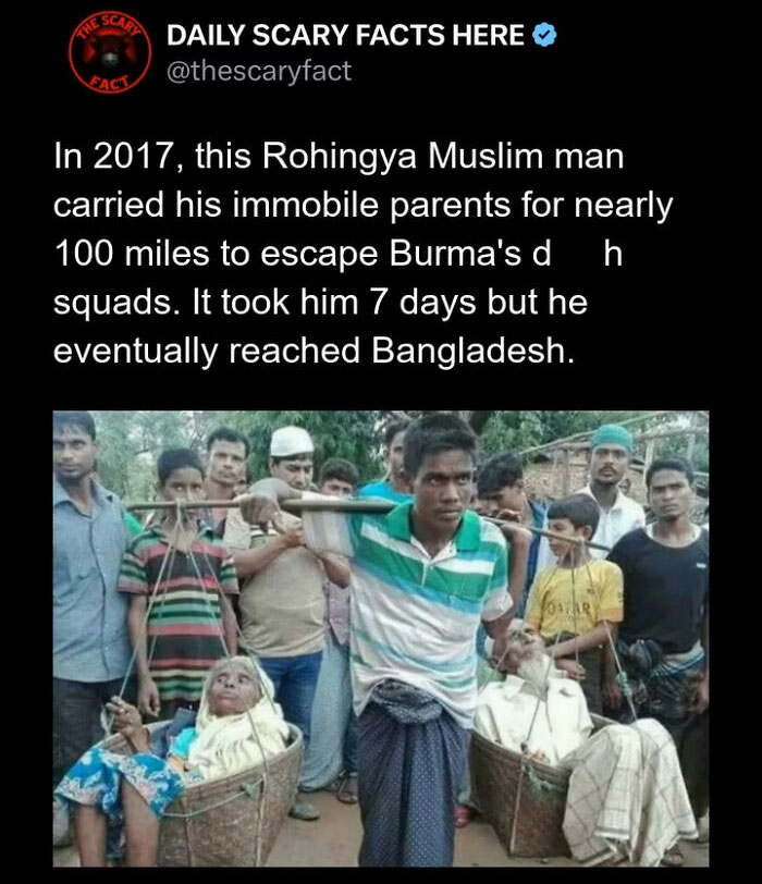 “This Scary Fact”: 83 Facts To Scroll Through In The Darkness And Regret It (New Pics)