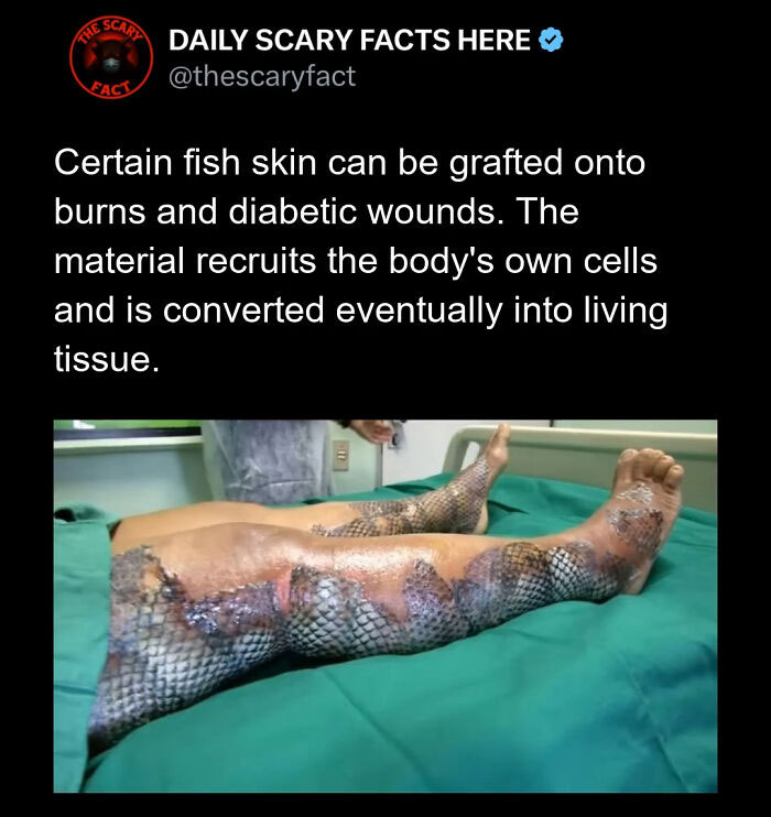 “This Scary Fact”: 83 Facts To Scroll Through In The Darkness And Regret It (New Pics)