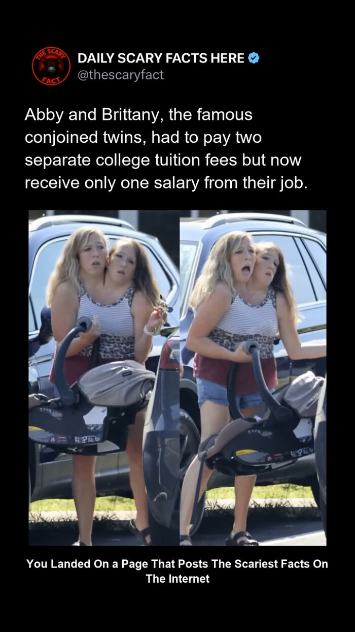 “This Scary Fact”: 83 Facts To Scroll Through In The Darkness And Regret It (New Pics)