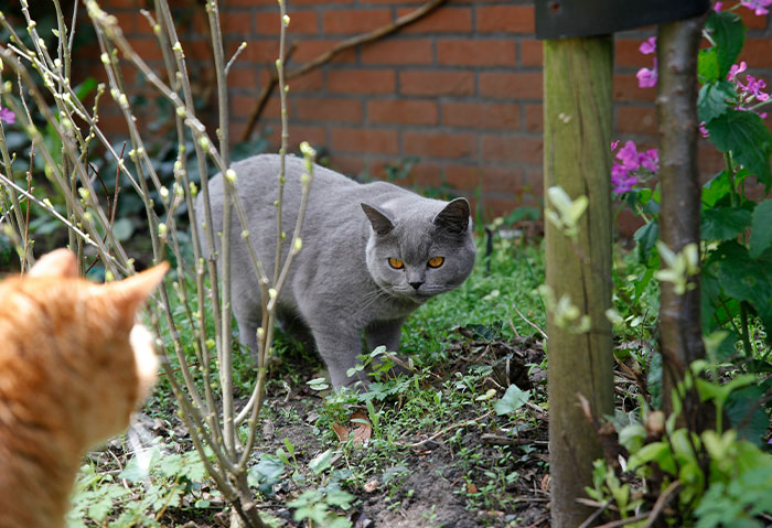 &ldquo;I Never Felt Bad&rdquo;: 59 Petty Acts Of Payback That Were Technically Wrong But Emotionally Correct