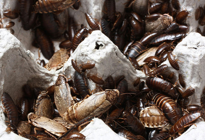 &ldquo;I Never Felt Bad&rdquo;: 59 Petty Acts Of Payback That Were Technically Wrong But Emotionally Correct