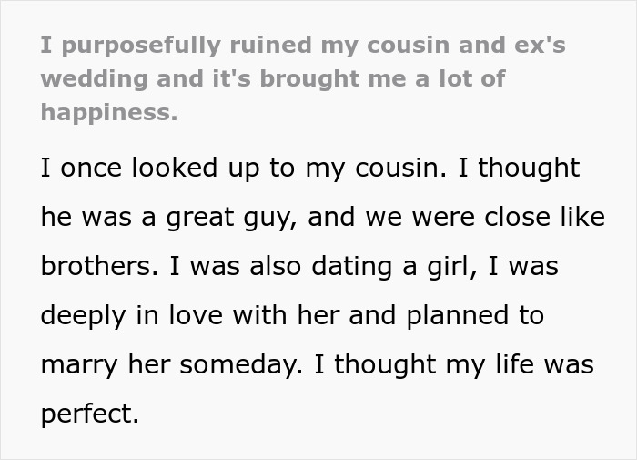 Guy Ruins Cousin&rsquo;s And His Ex’s Wedding By Giving The Most Savage Speech Ever: “You Ruined My Life”
