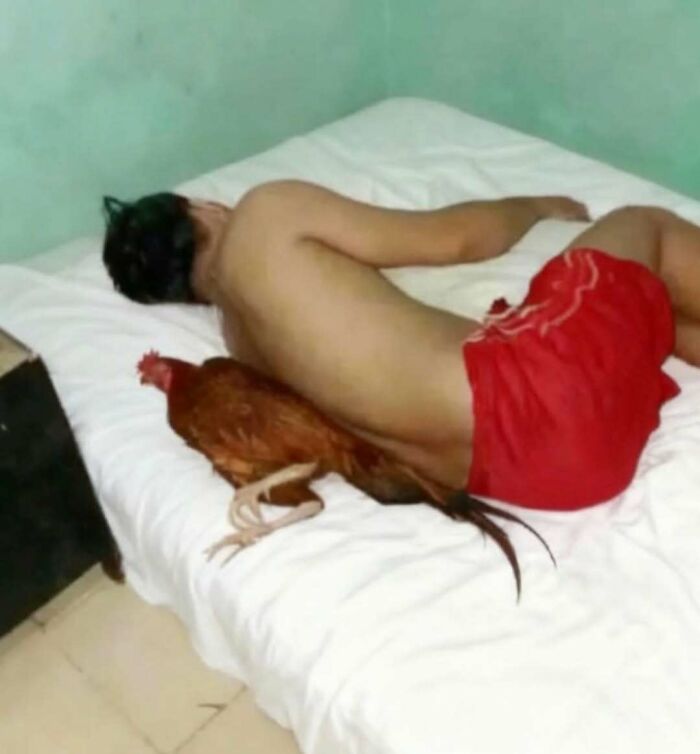 79 Cursed Photos That Make Absolutely Zero Sense But Live Rent‑Free In Our Brains 79 Cursed Photos That Make Absolutely Zero Sense But Live Rent‑Free In Our Brains