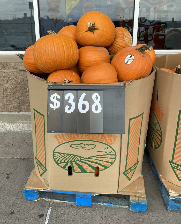 33 Times People Destroyed Their Own Lives In An Instant 33 Times People Destroyed Their Own Lives In An Instant