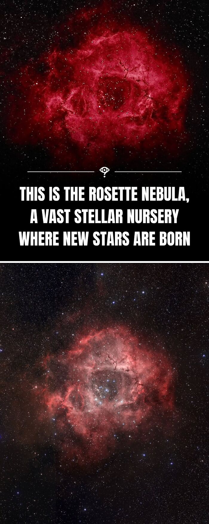 “Satisfy The Curiosity”: 27 Science Facts To Make Your Inner Nerd Happy “Satisfy The Curiosity”: 27 Science Facts To Make Your Inner Nerd Happy