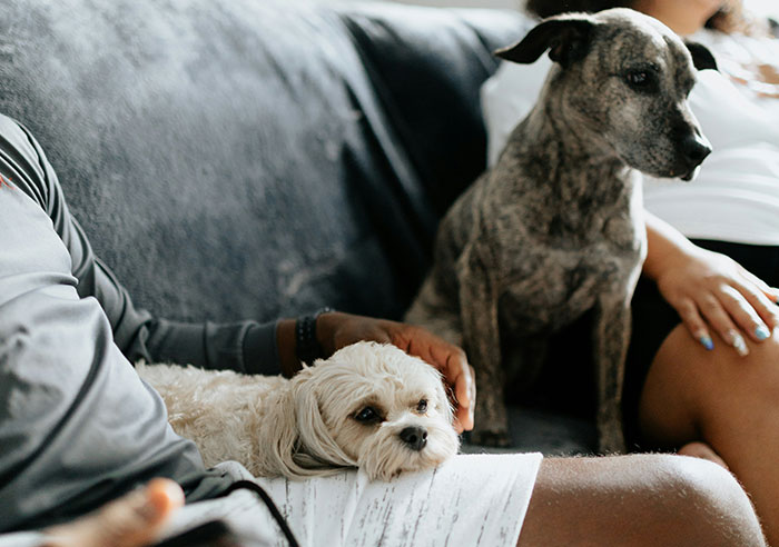 “Watching It Gave Me Chills”: 43 People Share The Creepiest Displays Of Intelligence They’ve Seen In Others “Watching It Gave Me Chills”: 43 People Share The Creepiest Displays Of Intelligence They’ve Seen In Others