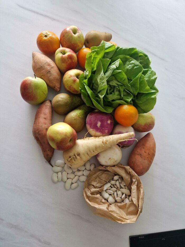 99 People Show How Much Groceries Cost Where They Live And It’s Pretty Bad (New Pics)