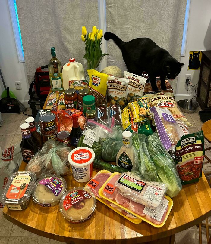 99 People Show How Much Groceries Cost Where They Live And It’s Pretty Bad (New Pics)