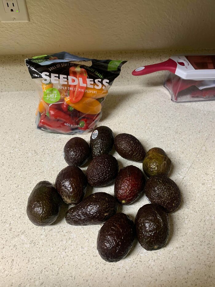 99 People Show How Much Groceries Cost Where They Live And It’s Pretty Bad (New Pics)