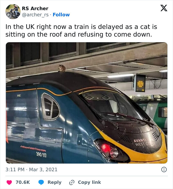 Brits Are Bonding Over These 61 Hilarious Memes That Sum Up Their Life Experience Brits Are Bonding Over These 61 Hilarious Memes That Sum Up Their Life Experience