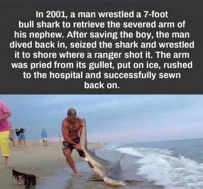 71 Times Men Proved Kindness And Wholesomeness Is A Superpower (New Pics) 71 Times Men Proved Kindness And Wholesomeness Is A Superpower (New Pics)