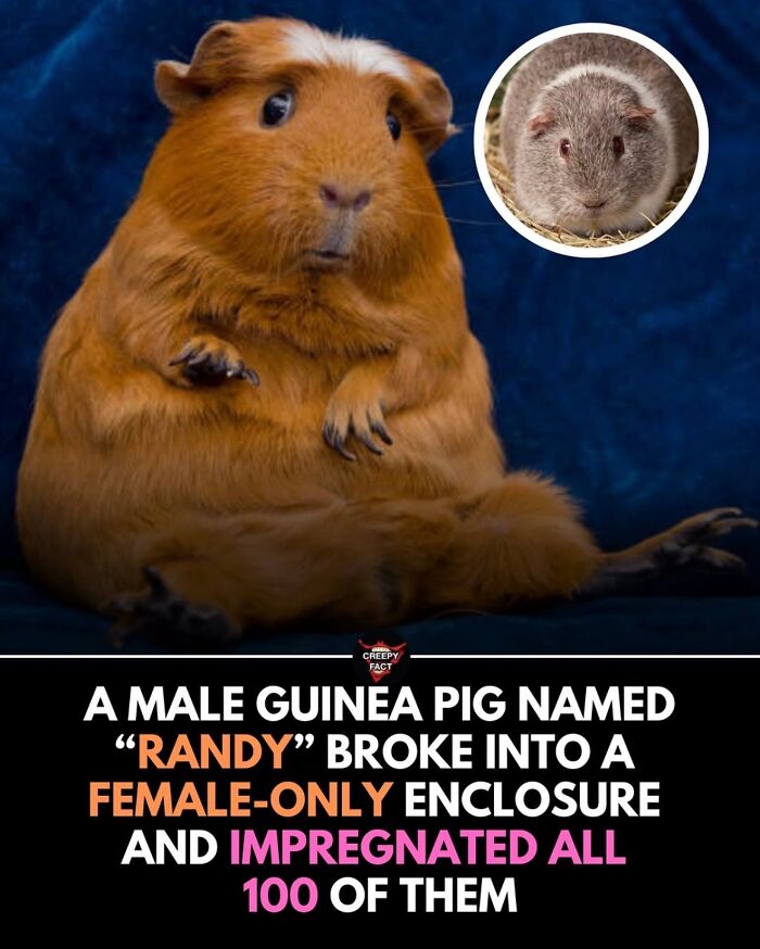 71 Times Men Proved Kindness And Wholesomeness Is A Superpower (New Pics) 71 Times Men Proved Kindness And Wholesomeness Is A Superpower (New Pics)