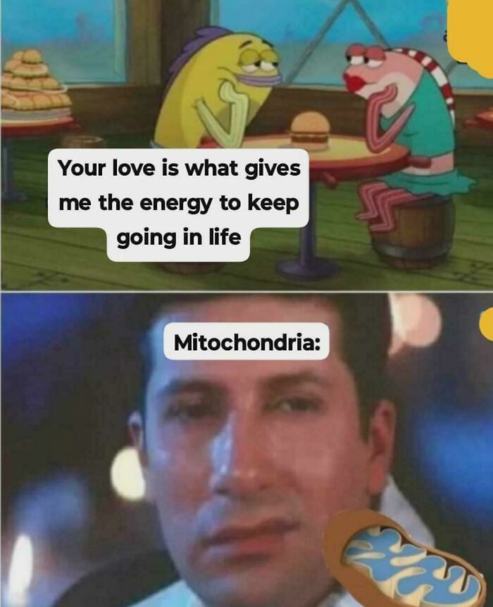 79 Science Memes That Hit With Mitochondria‑Level Powerhouse Humor 79 Science Memes That Hit With Mitochondria‑Level Powerhouse Humor