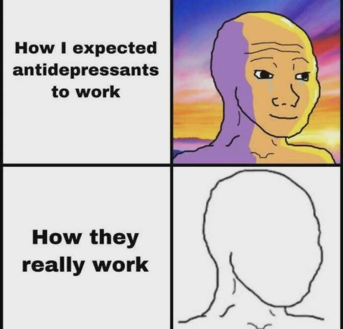 79 Science Memes That Hit With Mitochondria‑Level Powerhouse Humor 79 Science Memes That Hit With Mitochondria‑Level Powerhouse Humor