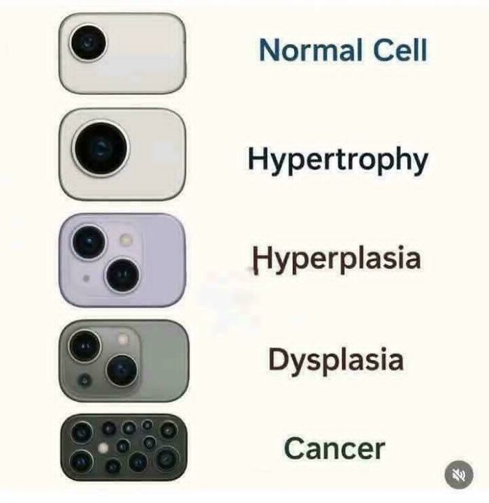 79 Science Memes That Hit With Mitochondria‑Level Powerhouse Humor 79 Science Memes That Hit With Mitochondria‑Level Powerhouse Humor